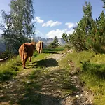 Lejlighed Stier *