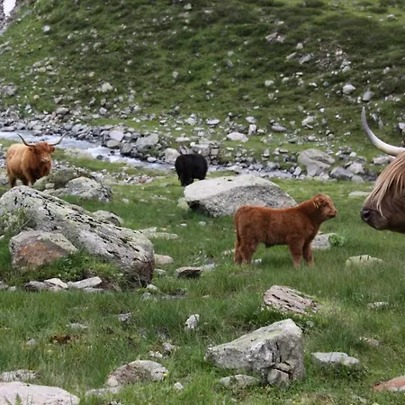Appartement Stier *